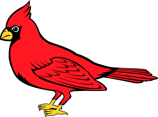 Cardinal team mascot color vinyl sports sticker. Personalize on line. Cardinal 1
